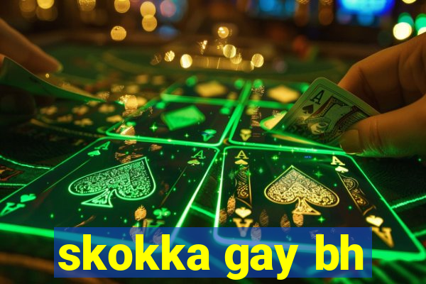 skokka gay bh